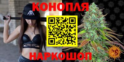 PSILOCYBIN Кунгур