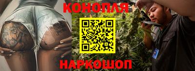 PSILOCYBIN Кунгур
