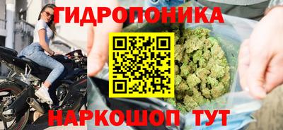 PSILOCYBIN Кунгур