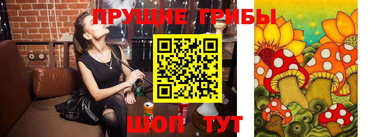 Бузулук  Псилоцибиновые грибы MAGIC MUSHROOMS  Вход с VPN  Псилоцибиновые грибы GOLDEN TEACHER 