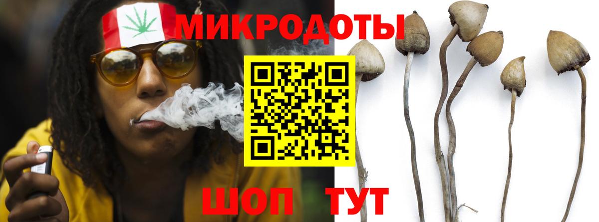 Галлюциногенные грибы мицелий Бузулук